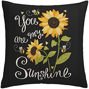 Hitamus Arrow Compass Decorative Throw Pillow Case Square Cushion Cover Soft Polyester Pillowcase for Sofa Couch Bed Home， 18x18 Inch