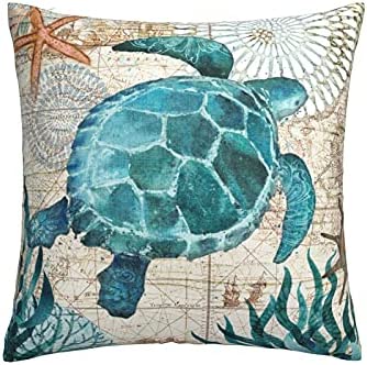 Hitamus Arrow Compass Decorative Throw Pillow Case Square Cushion Cover Soft Polyester Pillowcase for Sofa Couch Bed Home， 18x18 Inch