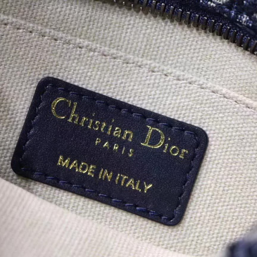 【原版皮】迪奥/Dior 相机包，选用Oblique提花帆布搭配同色系牛皮皮革裁制而成，大大的D字扣的手拎设计五金，随意又摩登，谁用谁时髦