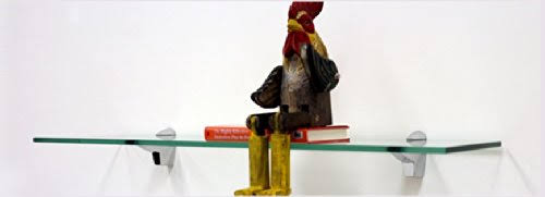 Falcon Glass Shelf 12x22 x 48x22 in Brushed Steel