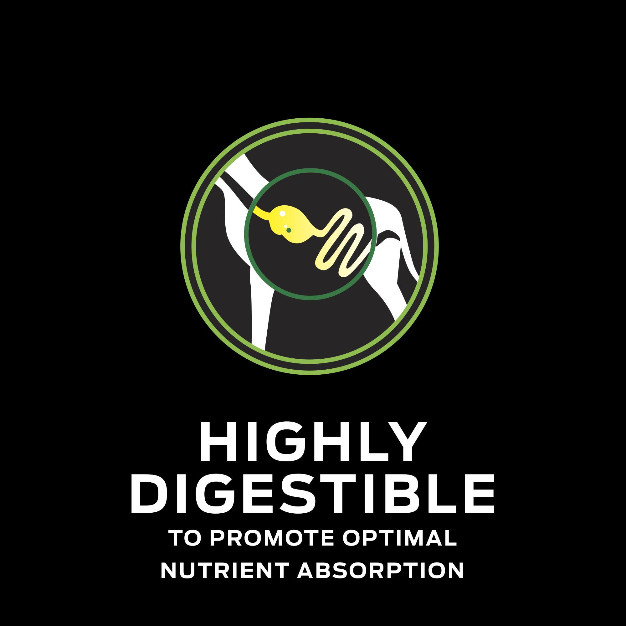 Purina Pro Plan Veterinary Diets HA Hydrolyzed Chicken Flavor Canine Formula Dry Dog Food, 16.5 lbs.