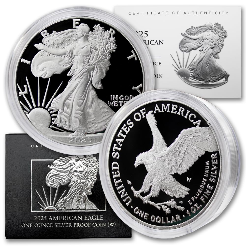 💥$1.99 Today Only 🪙 American Eagle 2024 One Ounce Silver Proof Coin